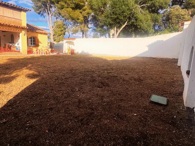 Después: desbroce