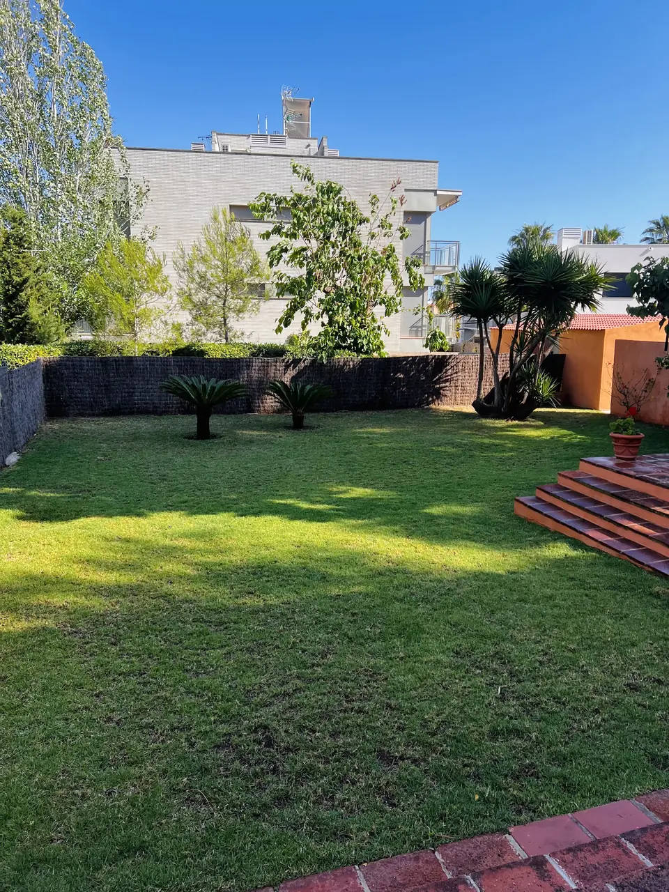 Jardín recién escarificado para recuperar el césped