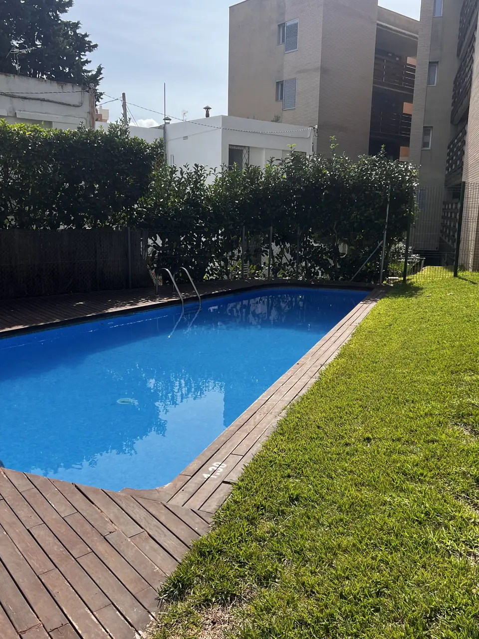 Césped natural junto a una piscina con borde de madera y seto de cierre