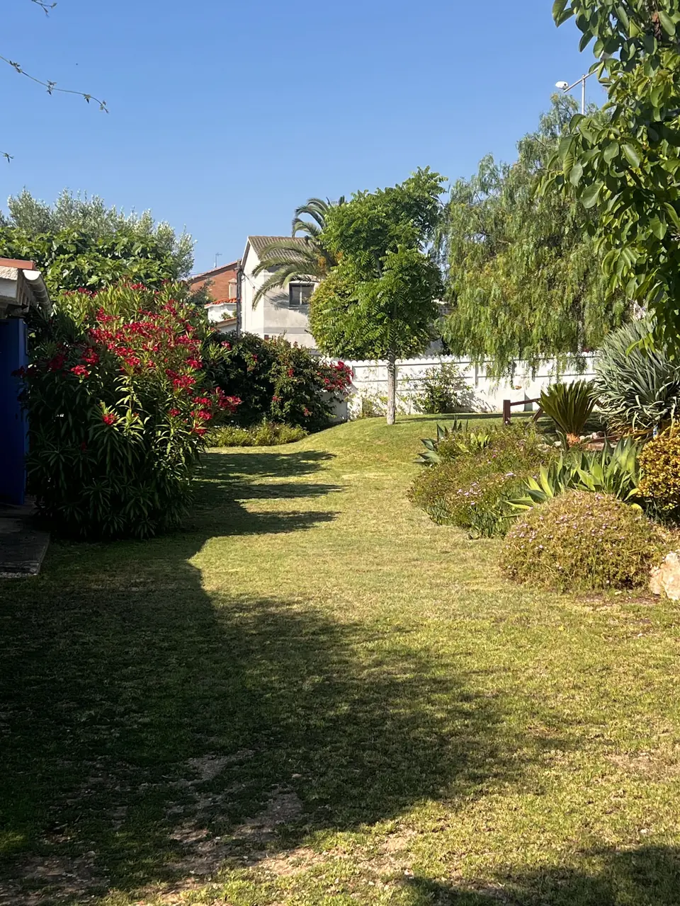 Jardí amb baladres en flor, arbustos retallats i gespa a Roda de Berà