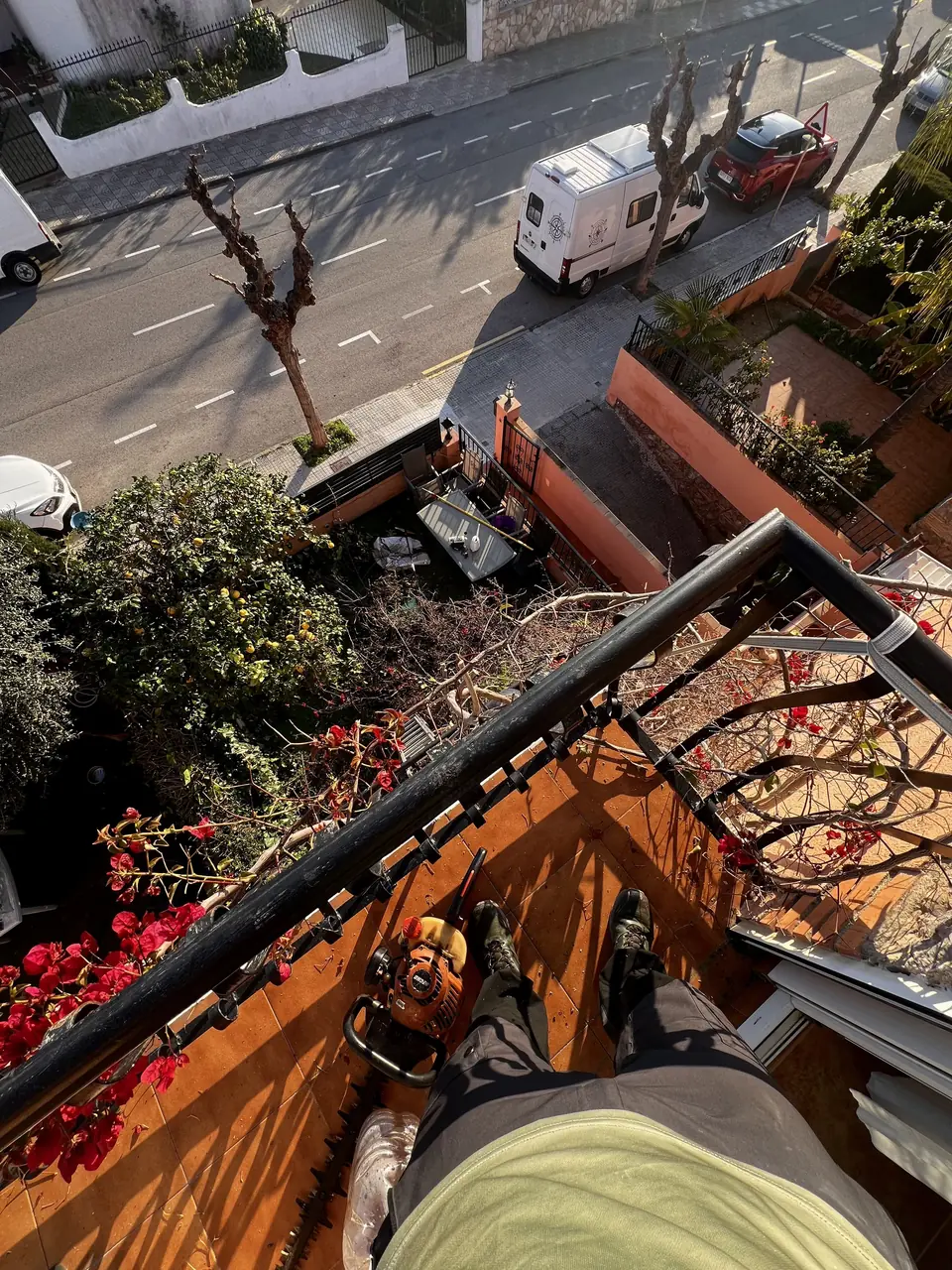 Poda de una buganvilla en altura desde un balcón sobre la calle