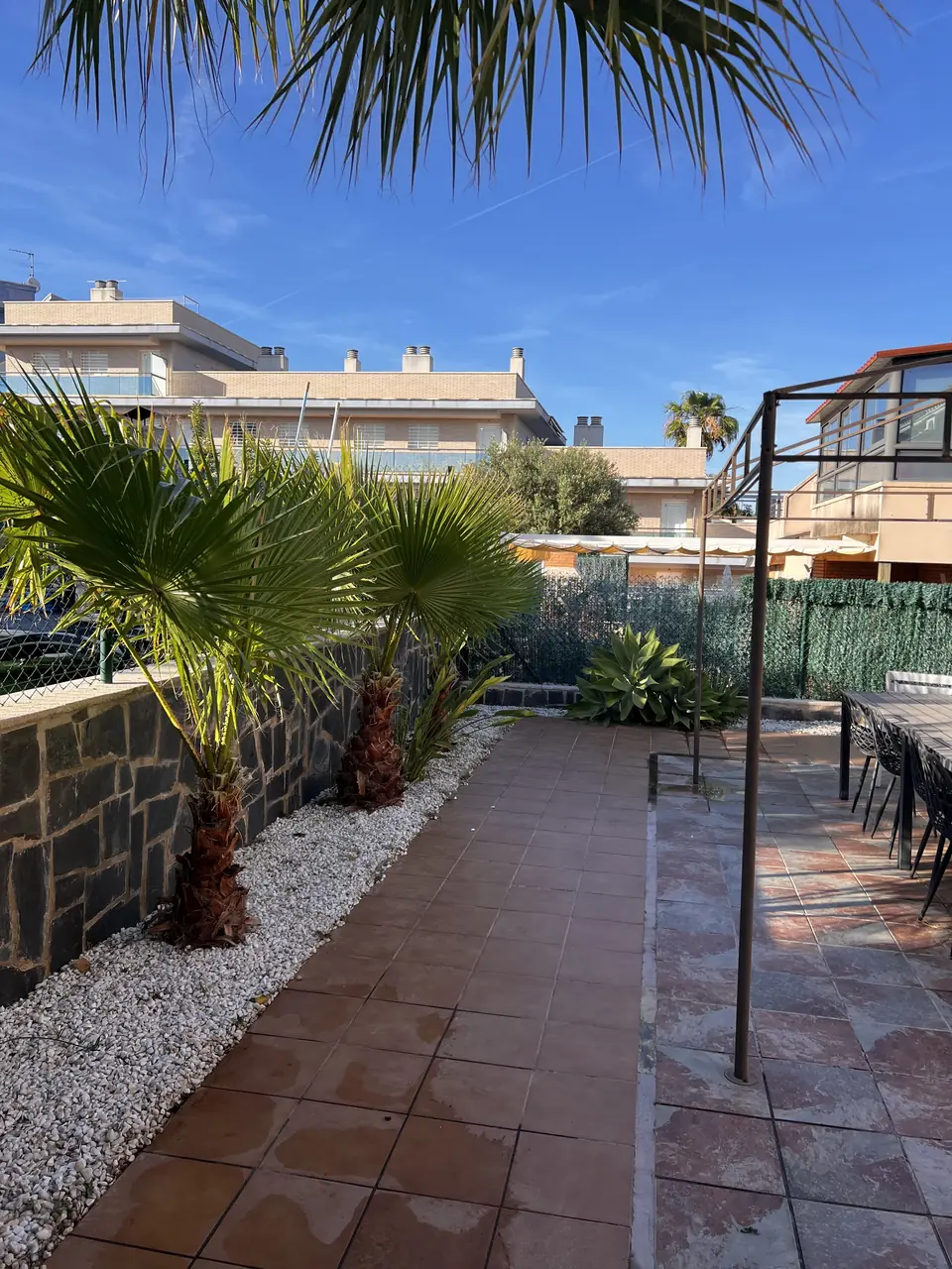 Terraza con palmeras y franja de grava blanca que diseñamos y mantenemos