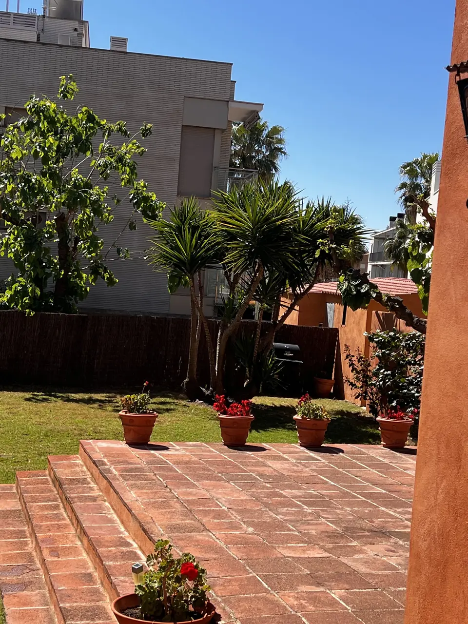 Yucas y palmeras limpias en el jardín de una casa con terraza de terracota