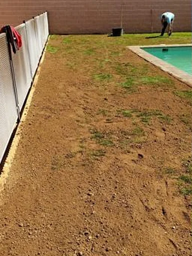 Antes: Césped sembrado junto a la piscina