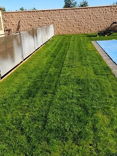 Después: Césped sembrado junto a la piscina